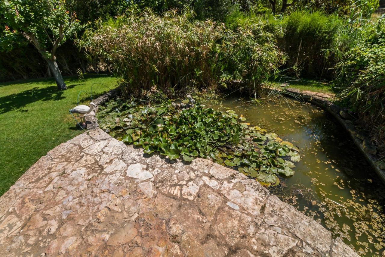 Apartmán Quinta Das Portelas Lagos Exteriér fotografie